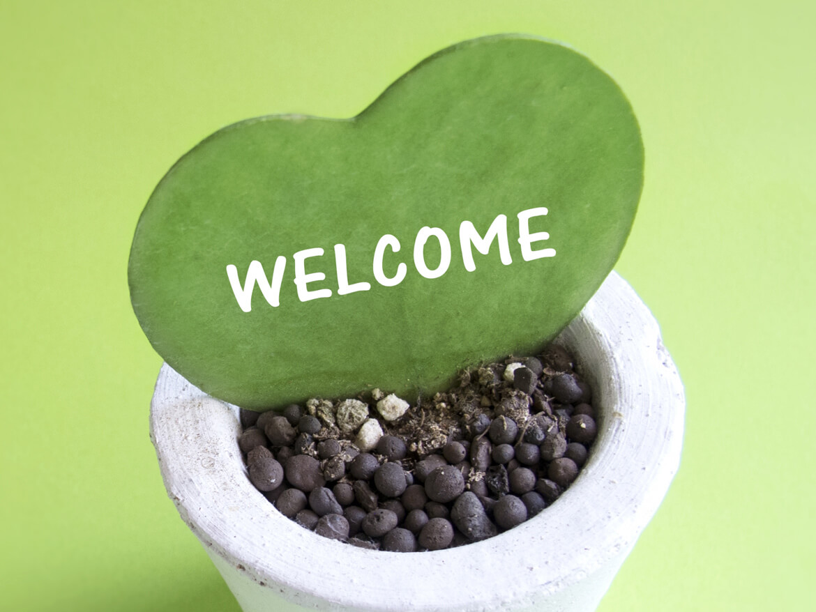 髙橋クリニックって?